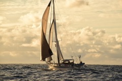 Ariel in navigazione con tridente code, trinchetta e randa