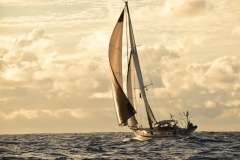 Ariel in navigazione con tridente code, trinchetta e randa